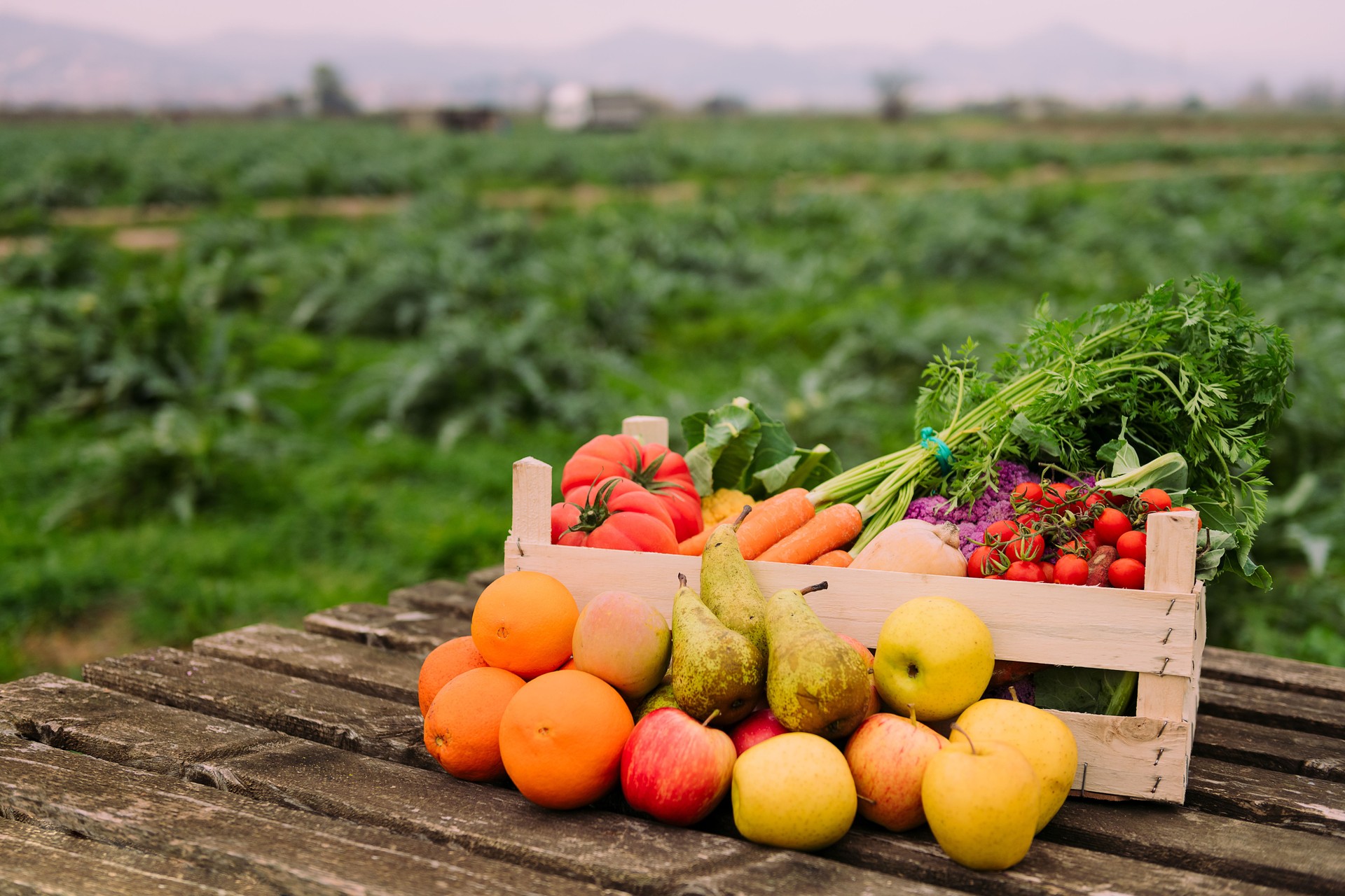 box with vegetables and fruits in a crop field
